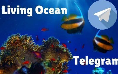 Living Ocean Telegram