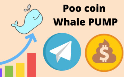 Poocoin Whale Pumps Telegram